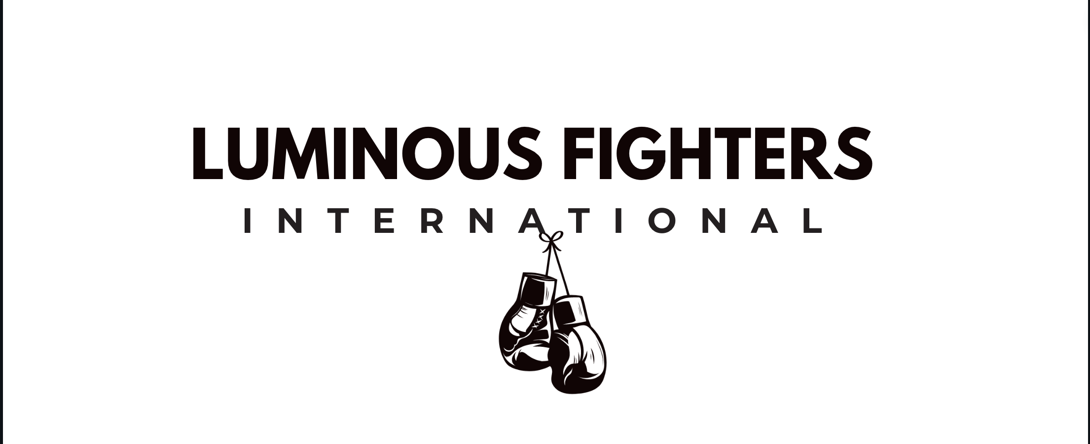Luminous Fighter International